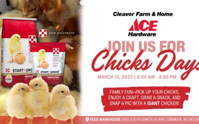 Cleaver Farm & Home ACE Chick Days – Family Fun – Pick up your chicks, Enjoy a craft, Grab a Snack. March 15, 2025